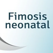 crema corticoides para fimosis adultos